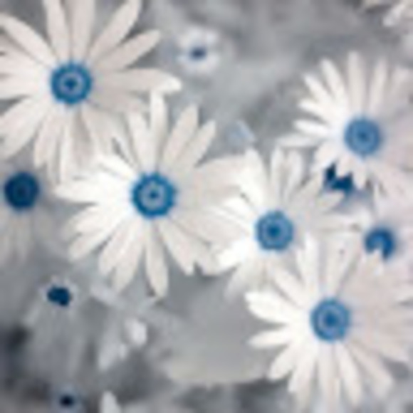 Meet your Posher, Alejandra - Picture 1 of 1